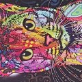 20150904_120213