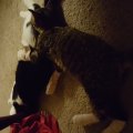 20150905_220316