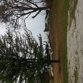 20150908_173230