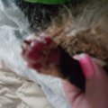 20150914_172919