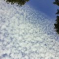 20150920_144040