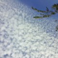 20150920_144046