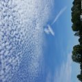20150920_145238