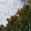 20150920_145303