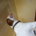 20150926_105147