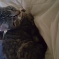 20150927_190618