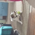 20151004_132204