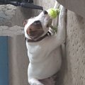 20151004_132217