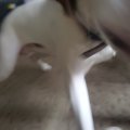20151004_132345_005