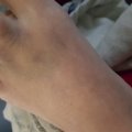20151013_173753