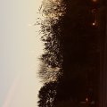 20151019_074436