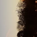20151019_074437