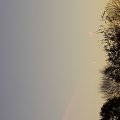 20151019_074439