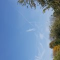 20151019_152440