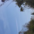 20151019_152444