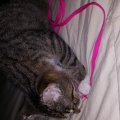 20151024_210222