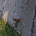 20151025_103812