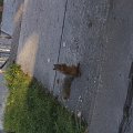 20151025_103815