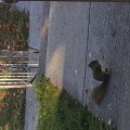 20151025_103821