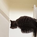 20151205_133429