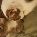 20160117_172535