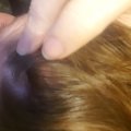20160129_230150