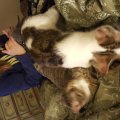 20160326_202849
