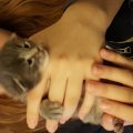20160326_202914