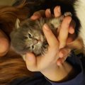 20160326_202954