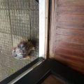 20160327_155219