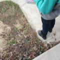 20160327_155340