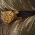 20160408_095630