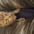 20160408_095701