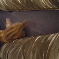 20160408_095717