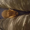 20160408_095739