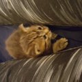 20160408_095746