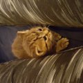 20160408_095752