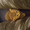 20160408_095755