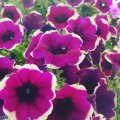 IMG_20160602_221127