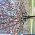 20160413_122630