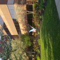 20160423_190329