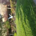 20160423_190344