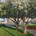 20160423_190649