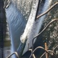 20160423_192315