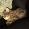 20160430_221720
