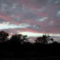 SANY0067