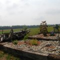 SANY0127 (1)
