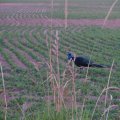 SANY0157