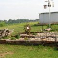 SANY0228