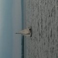 20140726_184609